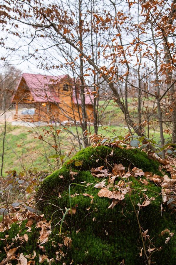 Brvnaria Villa Slatina Exterior photo